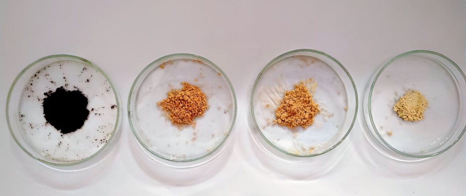 Microcápsulas con antioxidantes de piel de maní para conservar de alimentos